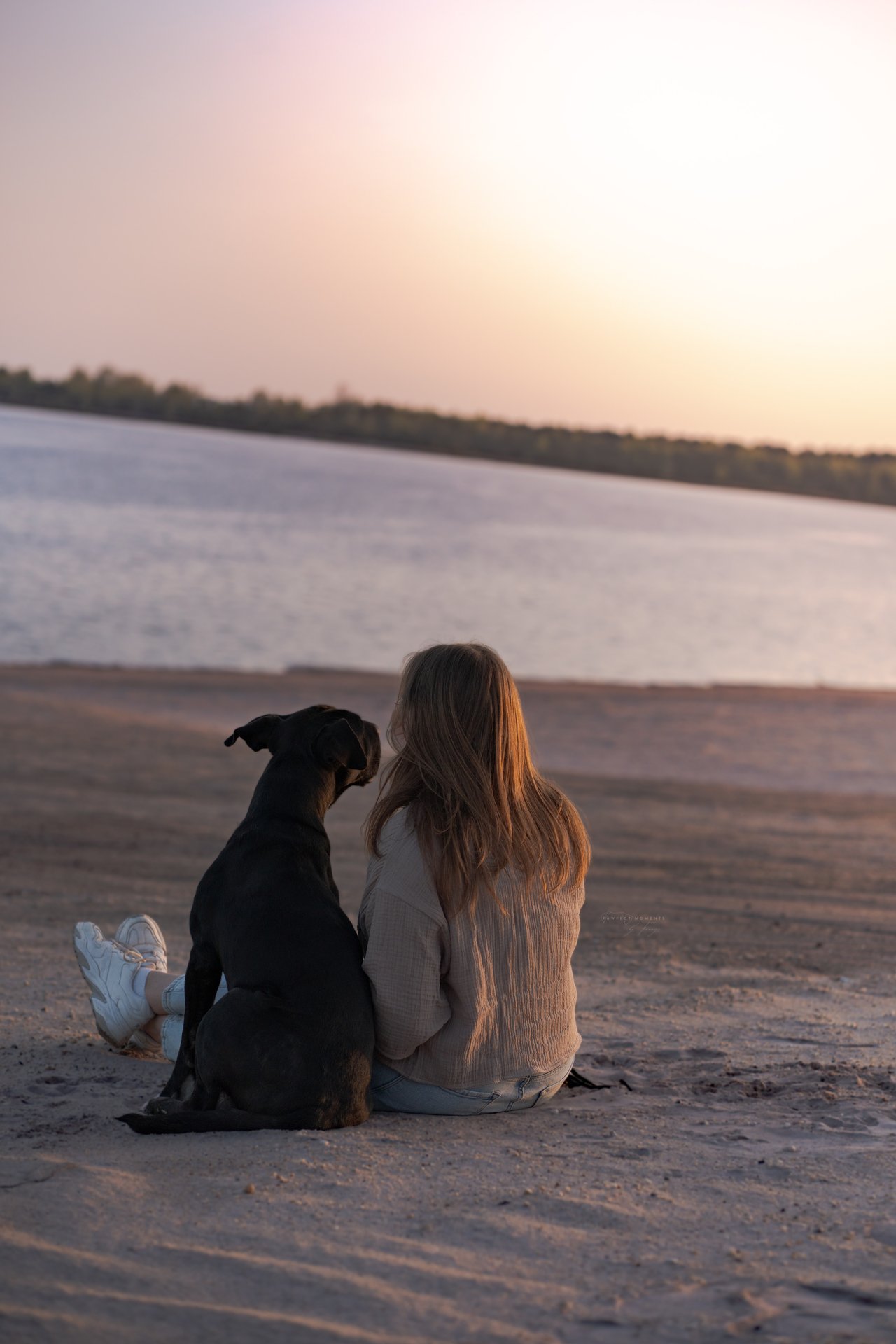 Franziska – Hundefotografin aus Finsterwalde